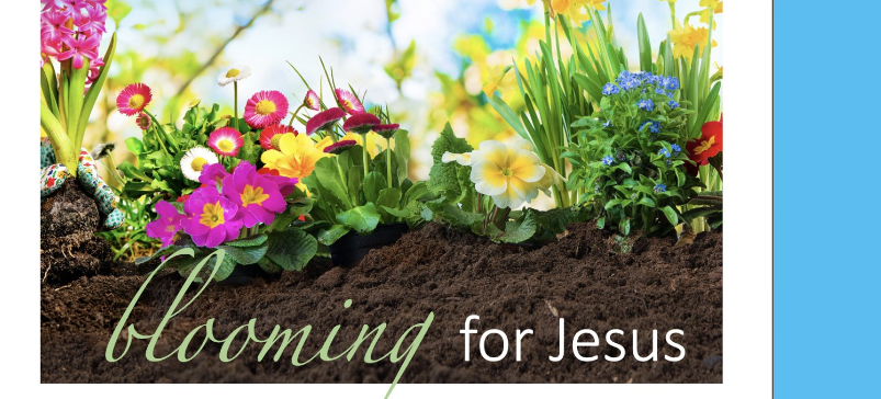 Blooming For Jesus 